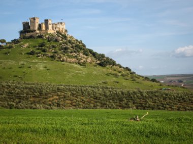 Almodovar del Rio, Ortaçağ Kalesi