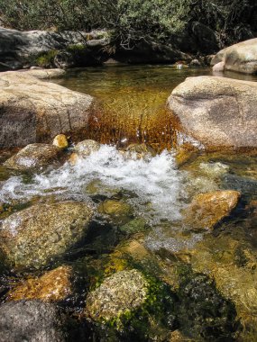 Pedrisa güzel nehir,