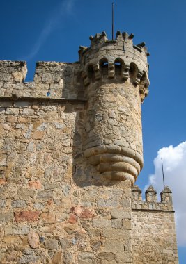 Toledo kalede Orgas