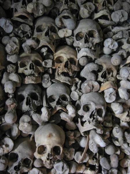 Mur d'os humains en monstère — Photo