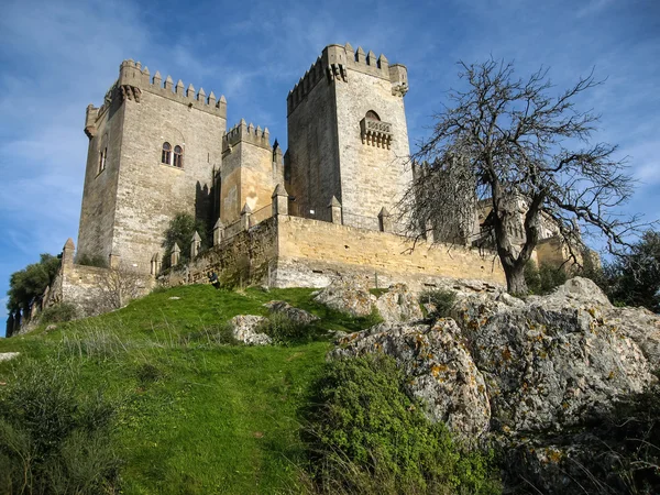 Almodovar del Rio középkori vár — Stock Fotó