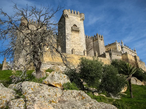 Almodovar del Rio, Ortaçağ Kalesi — Stok fotoğraf