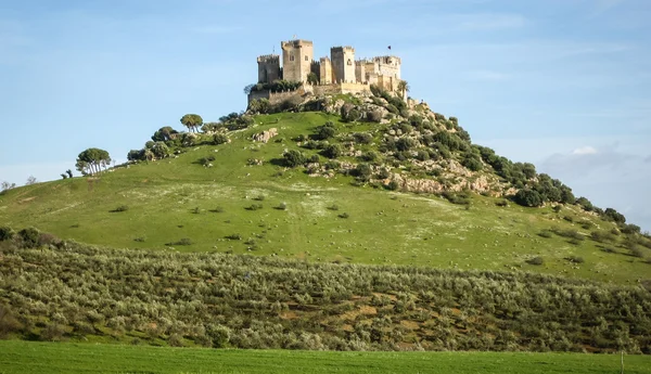 Средневековый замок в Альмодоваре-дель-Рио — стоковое фото
