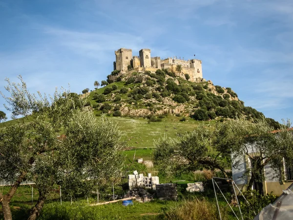 Castillo medieval en Almodovar del Rio — Foto de Stock