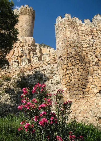 Původní středověký hrad Almansa — Stock fotografie