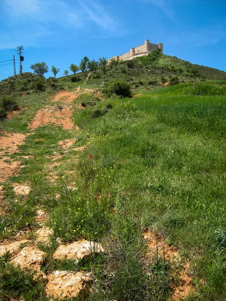 Mittelalterliche Cid-Burg auf einem Hügel — Stockfoto