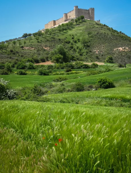 Mittelalterliche Cid-Burg auf einem Hügel — Stockfoto