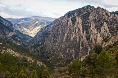 Los organos de Montoro