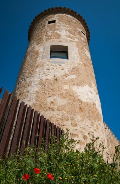 Castle adlı Cornella del Terry