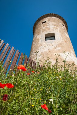 Castle adlı Cornella del Terry