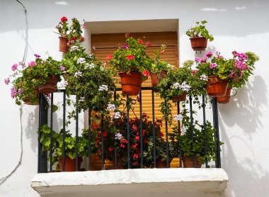 Lacalaora çiçekli balkon
