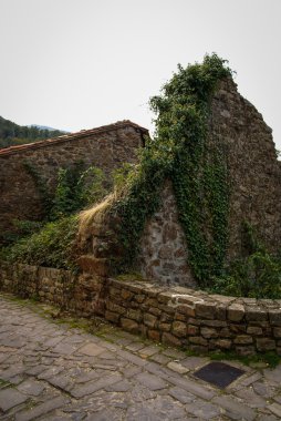 Asturia y Cantabria Barcena Maior