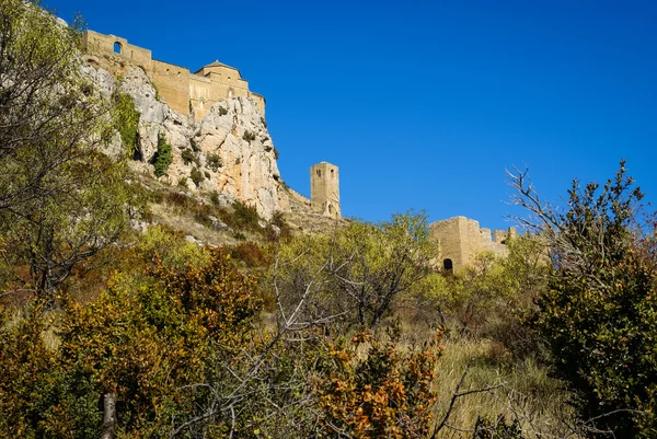 Παλιό κάστρο της μεσαιωνικής loare — Φωτογραφία Αρχείου