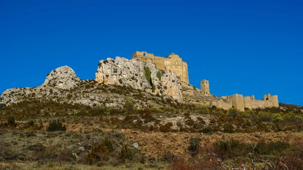 Oude middeleeuwse loare kasteel — Stockfoto