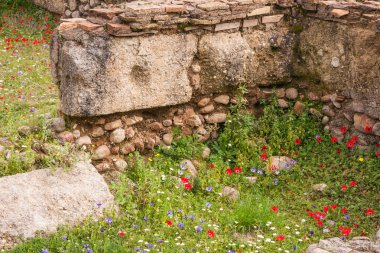 Antik Olimpia antik Yunan kalıntıları