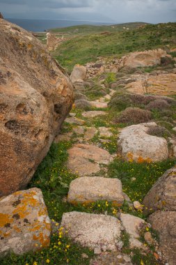 Delos adasının, antik Yunan kalıntıları