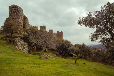 Salvatiera de los Barros adlı bir kale kalıntıları