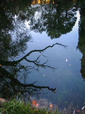 Monasterio de Piedra gölde yansımalar