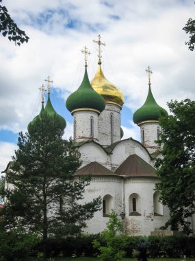 Taş kilisede beyaz: Suzdal