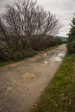 Bahar yollar Evbia, şiddetli yağmur sonra