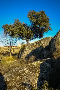 Los Barruecos,: Extremadura, Spain