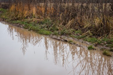 palekh etrafında sonbahar yollarda