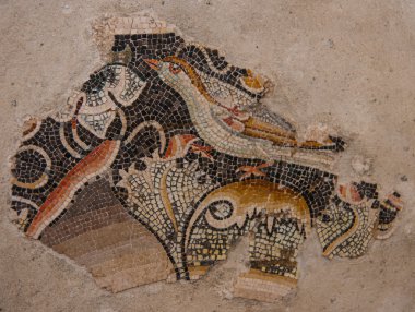 Delos adlı eski mozaikler