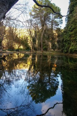 Monasterio de Piedra gölde yansımalar