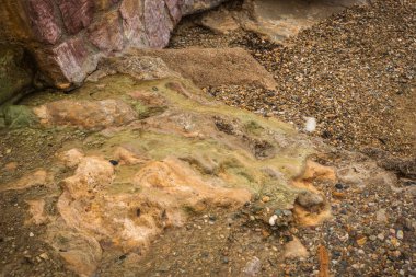 Loutra Edipsou plajında kaplıcaları