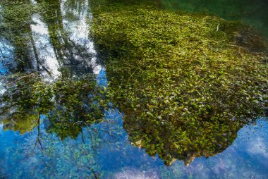 Monasterio de Piedra gölde yansımalar