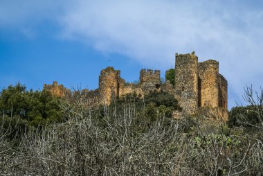 Salvatiera de los Barros adlı bir kale kalıntıları