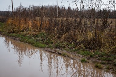 palekh etrafında sonbahar yollarda