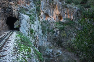 COG Railwayin Vouraikos gorge