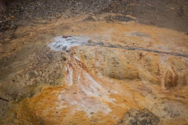 Loutra Edipsou plajında kaplıcaları