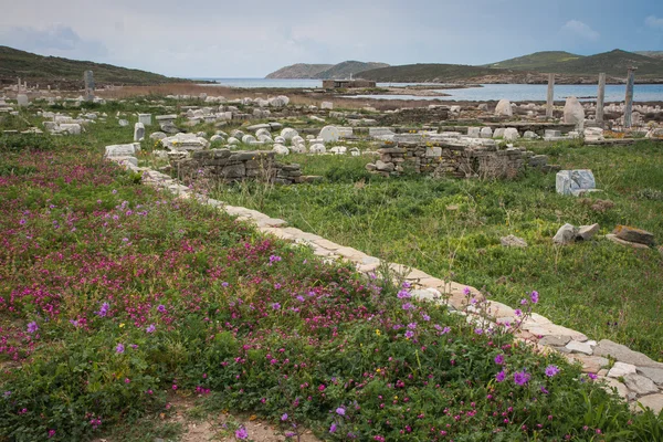 Gamla grekiska ruinerna och vårblommor — Stockfoto