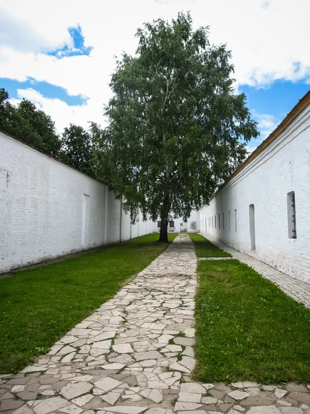 White walls and green tree in Suzdal — Stock Photo, Image