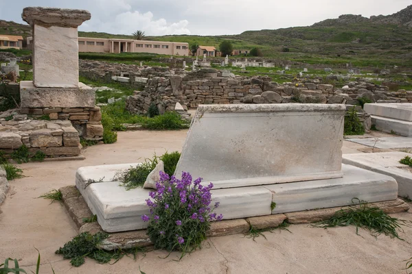 Gamla grekiska ruinerna och vårblommor — Stockfoto