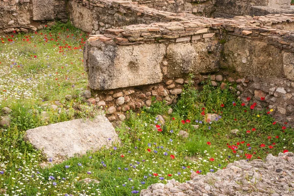 Ruinas griegas antiguas —  Fotos de Stock