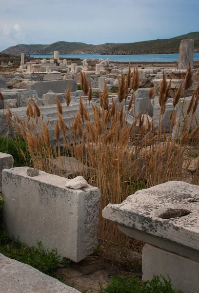 Starověké řecké ruiny na ostrov Délos — Stock fotografie