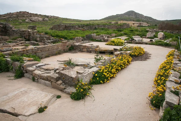 Ancient Greek ruins and spring flowers — Stock Photo, Image