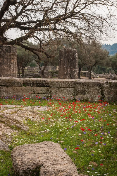 Antiguas ruinas griegas de la antigua Olimpia — Foto de Stock
