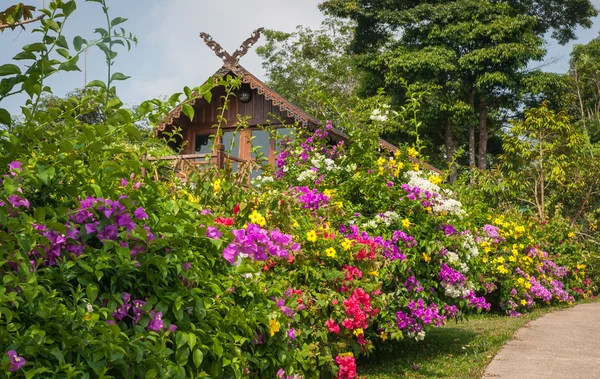 Casă mică din lemn și o mulțime de flori — Fotografie, imagine de stoc