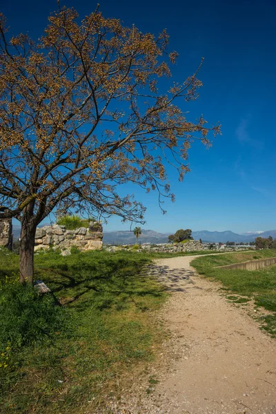 Paesaggio vicino agli antichi Tirinto — Foto Stock