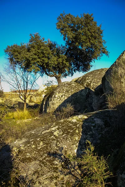 Los Barruecos, Extremadura, Espanha — Fotografia de Stock