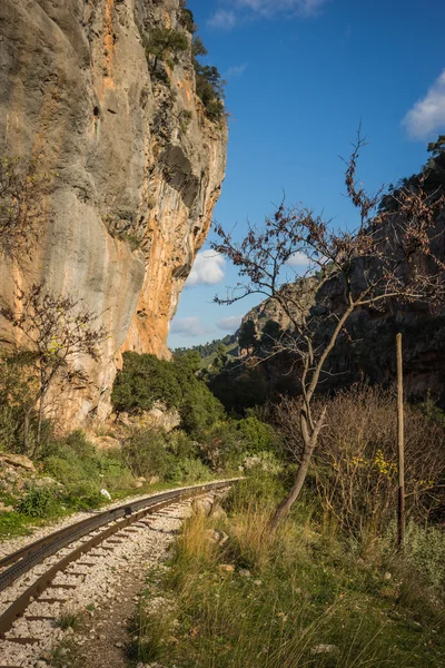 コグ Railwayin Vouraikos 渓谷 — ストック写真