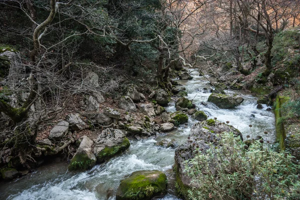 Vouraikos 渓谷の滝のある風景します。 — ストック写真