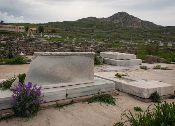 Starověké řecké ruiny a jarní květiny — Stock fotografie