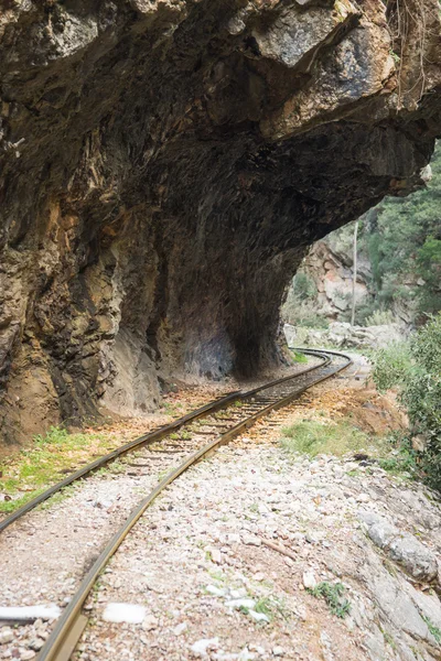 コグ Railwayin Vouraikos 渓谷 — ストック写真