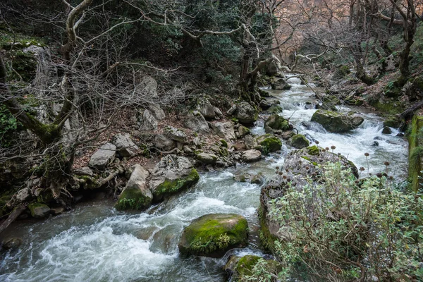 Vouraikos 渓谷の滝 — ストック写真