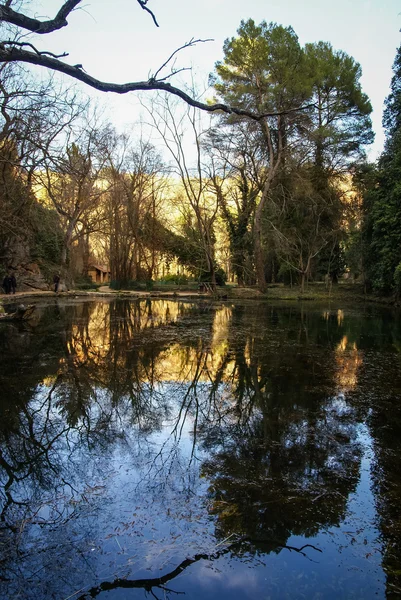 Odrazy v jezeře v Monasterio de Piedra — Stock fotografie